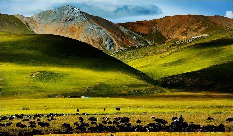 丙察察自駕游論壇_2021年丙察察自駕_丙察察自駕游游記