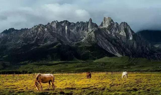 丙察察自駕游游記_2021年丙察察自駕_丙察察自駕游論壇