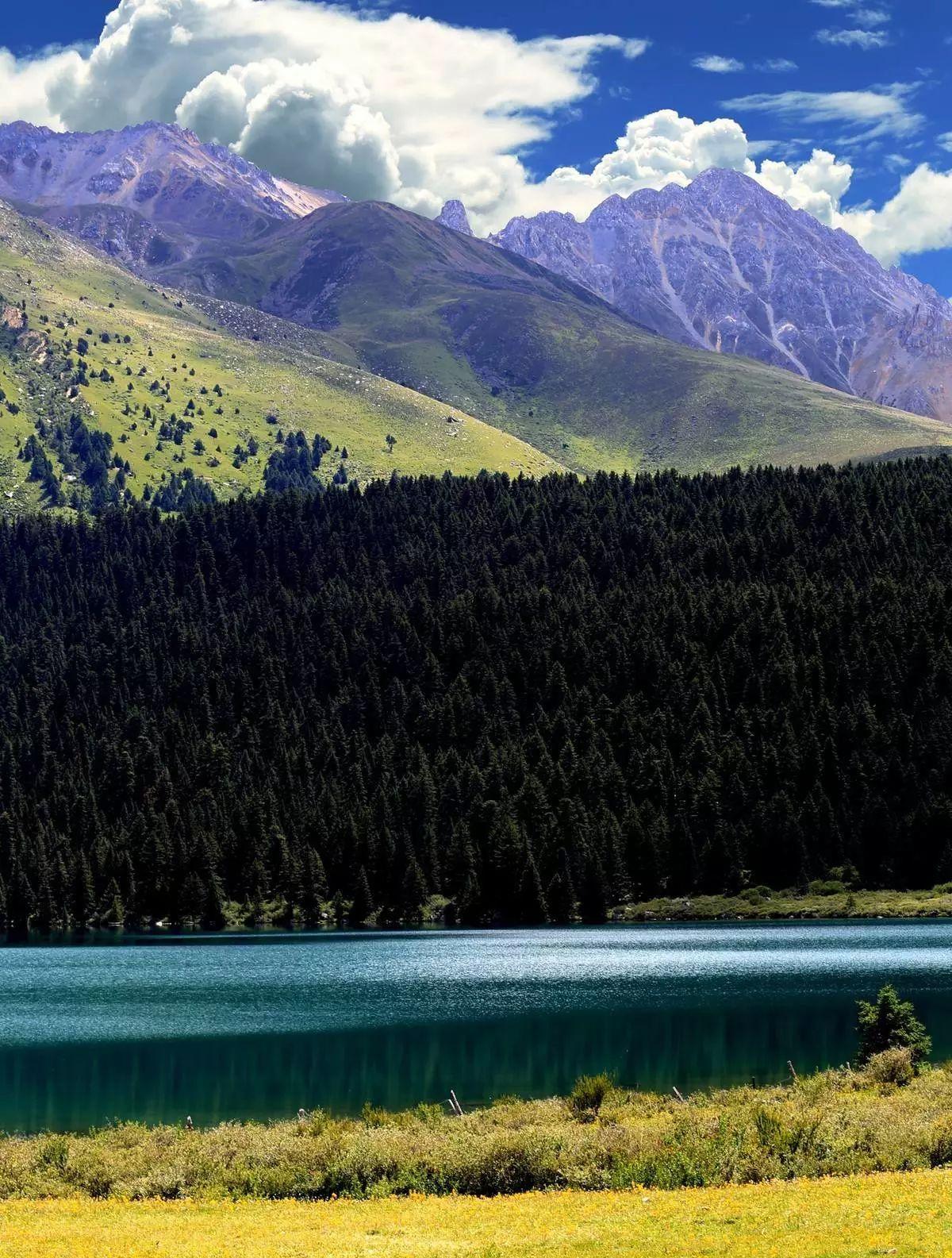 2021年丙察察自駕_丙察察自駕游論壇_丙察察自駕游游記