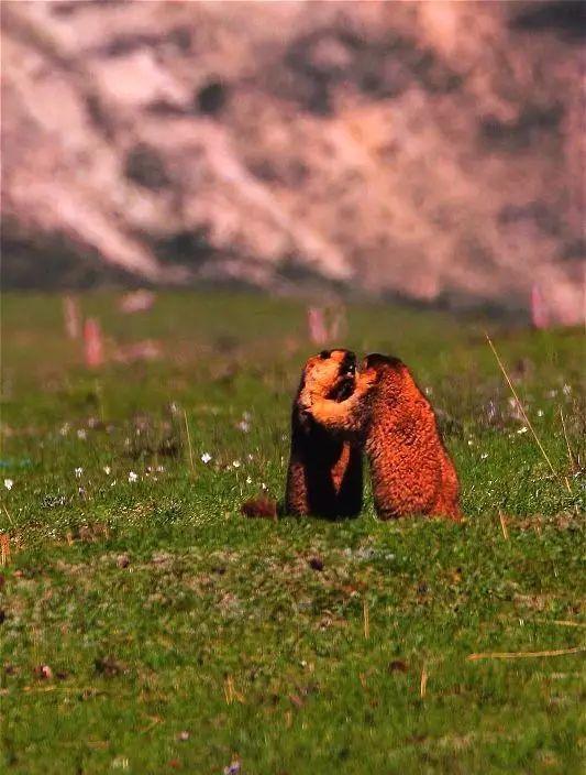 丙察察自駕游游記_丙察察自駕游論壇_2021年丙察察自駕