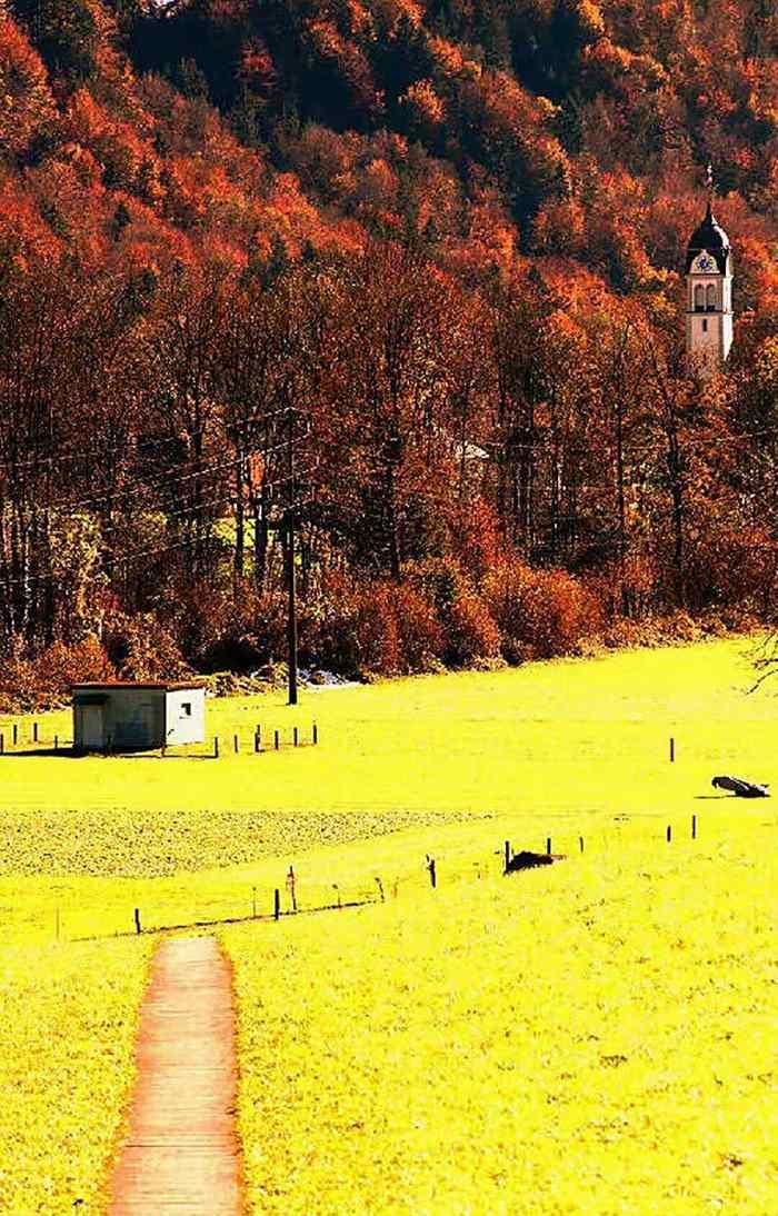 公司安排的度假旅游:放松身心,享受美好時光