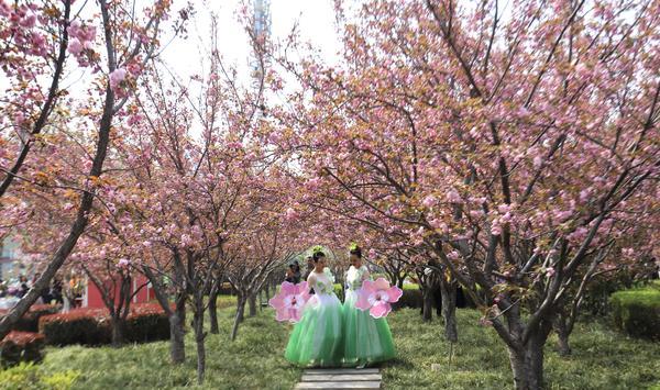 南陽自駕鄭州游到西安路線_南陽到鄭州自駕車來回多少錢_南陽到鄭州自駕游