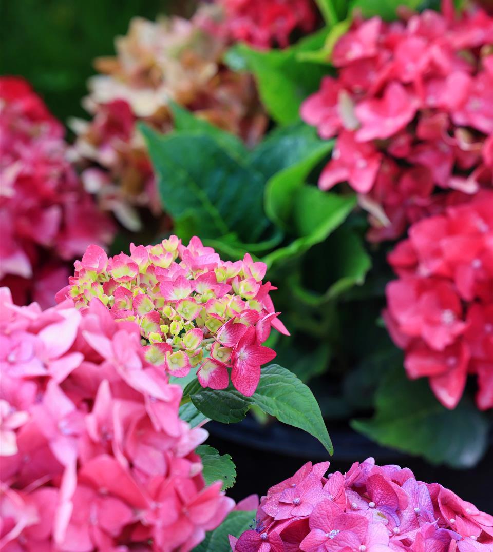 昆明秋日自駕出行攻略,海埂公園、海洪濕地、王府井奧萊滇池小鎮等你來