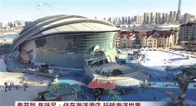 春節消費復蘇:天津極地海洋公園人潮涌動,海洋主題酒店受熱捧