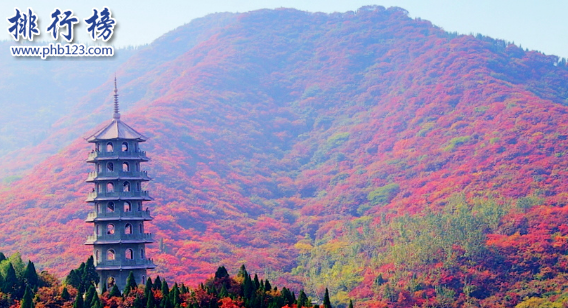 濟南旅游網紅打卡_濟南旅游網站_濟南旅游網