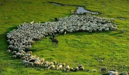 廣東1天自駕游好去處_廣東省內2天自駕游_廣東自駕游兩天