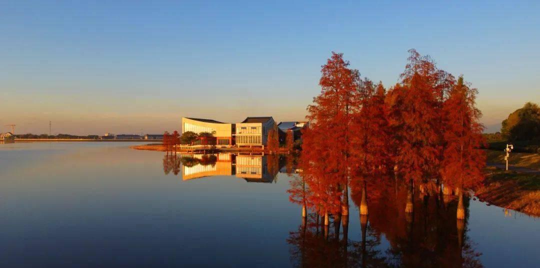 自駕游浙江攻略_自駕浙江旅游攻略景點必去_浙江自駕游推薦線路
