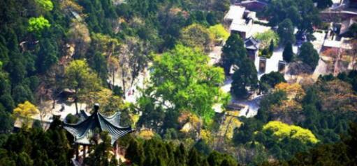 濟南旅游網站_濟南旅游網紅打卡地_濟南旅游網