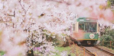 到新疆烏魯木齊的火車_烏魯木齊至新疆_烏魯木齊到內地火車
