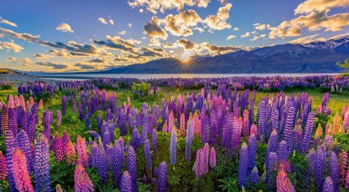 武漢自駕游烏鎮:探索東方威尼斯的童話之旅