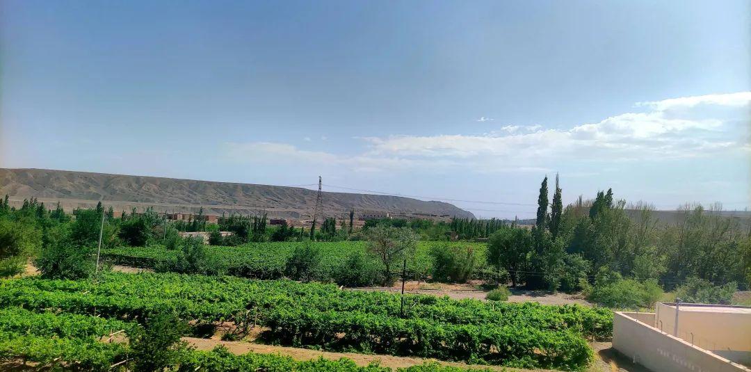 烏魯木齊到火車票_烏魯木齊到內(nèi)地火車_到新疆烏魯木齊的火車