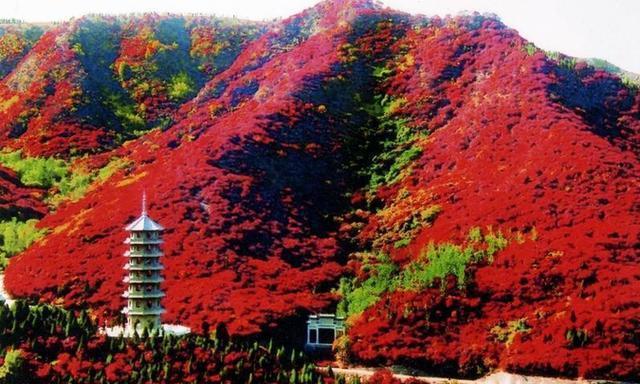 八達(dá)嶺長城、長白山、喀納斯湖:中國著名景點的魅力之旅