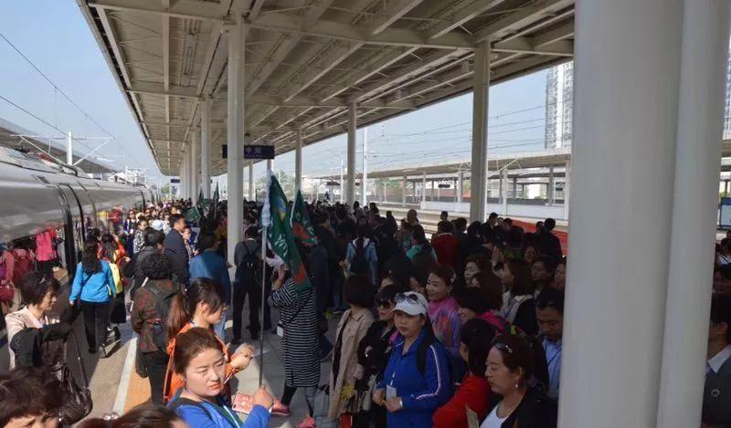 西安天馬國際旅行社千人乘高鐵賞漢中油菜花海,感受自然風(fēng)光與文化底蘊