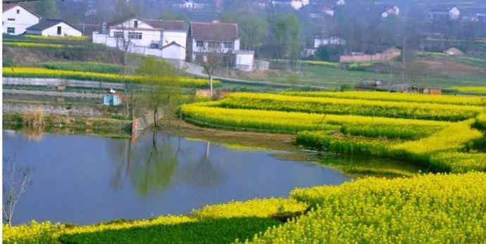 西安旅游當地旅游團_西安旅游安排_西安當地旅游團