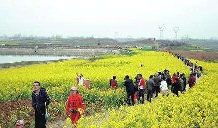 西安旅游當地旅游團_西安旅游安排_西安當地旅游團