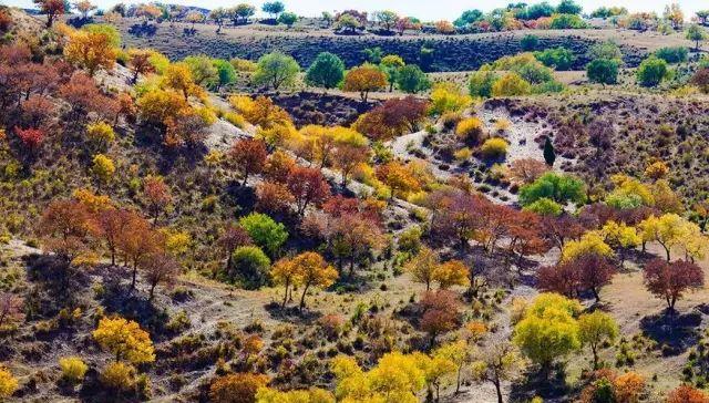 黃崗梁自駕游_黃岡市自駕游_十一黃崗梁旅游