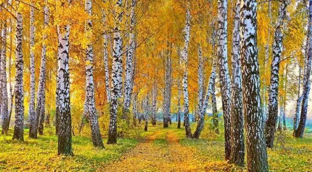 十一黃崗梁旅游_黃岡市自駕游_黃崗梁自駕游