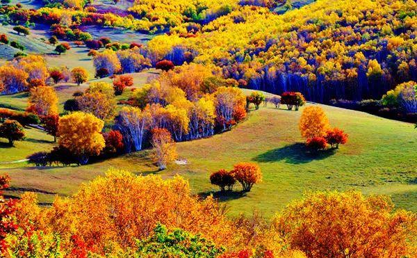 黃岡市自駕游_黃崗梁自駕游_十一黃崗梁旅游