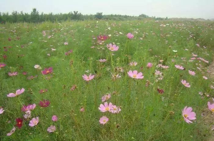 大石湖在哪里_義縣大石湖風(fēng)景旅游區(qū)_大石湖景區(qū)門票優(yōu)惠政策