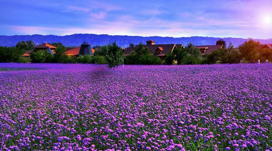 遼寧省各地免費景區名單公布,戰友們快來看看