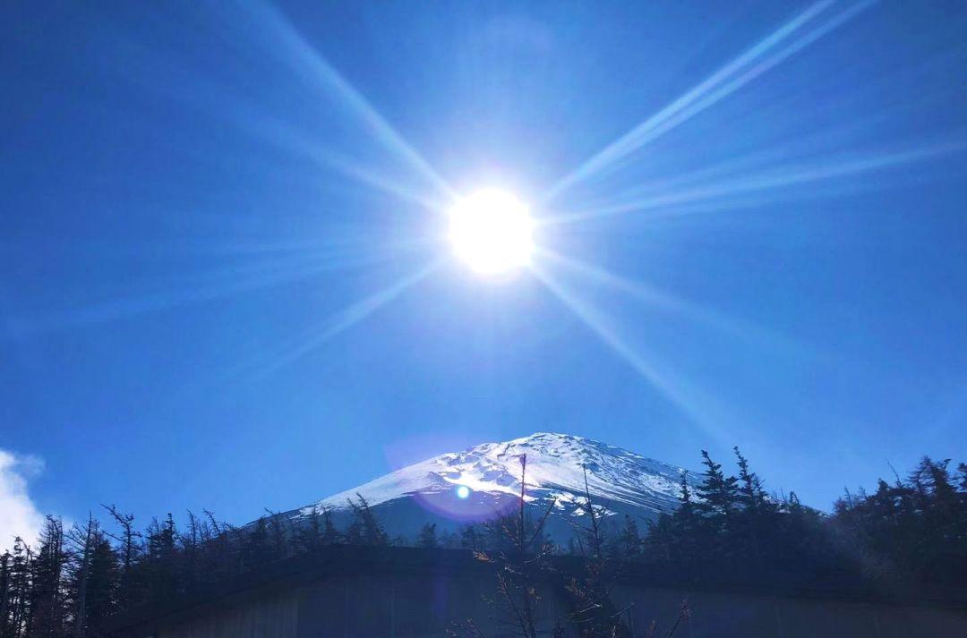 西安當地旅游團_旅游西安旅游攻略_西安旅游安排