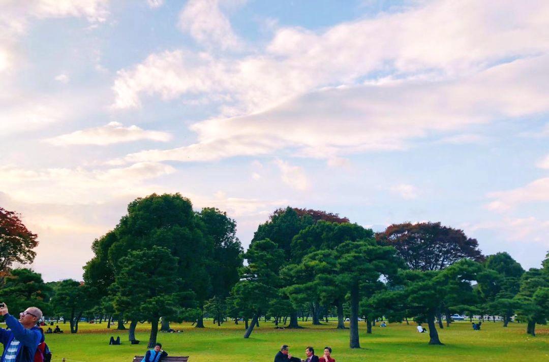 西安當地旅游團_旅游西安旅游攻略_西安旅游安排