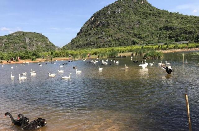 游林哪里人_林縣自駕游_游林寨古村的作文