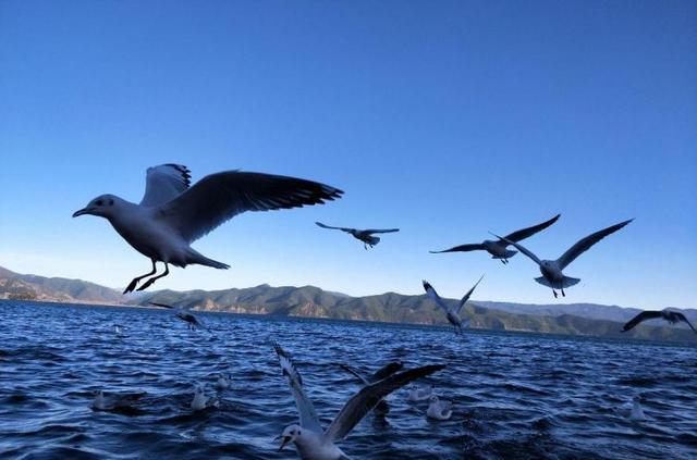 游林寨古村的作文_林縣自駕游_游林哪里人