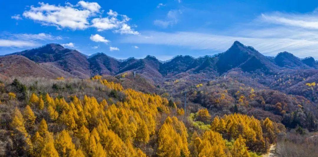 2024 年端午節開車去深圳各景點,這些預約事項你必須知道