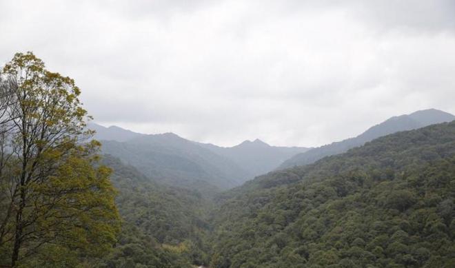 自駕游_廣莞自駕游_自駕游線路攻略