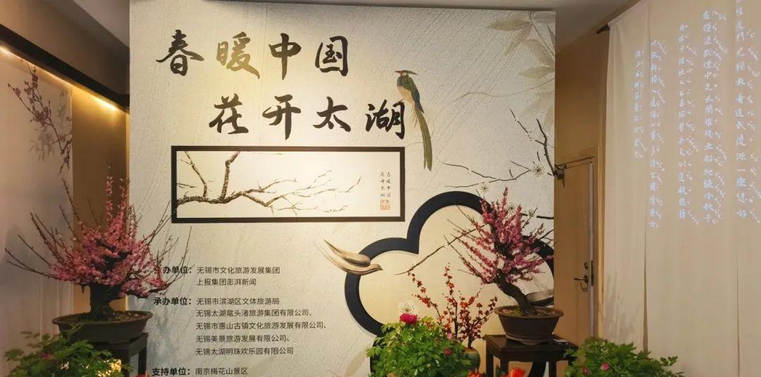 上海到無錫自駕游_上海到無錫自駕游_上海到無錫自駕游