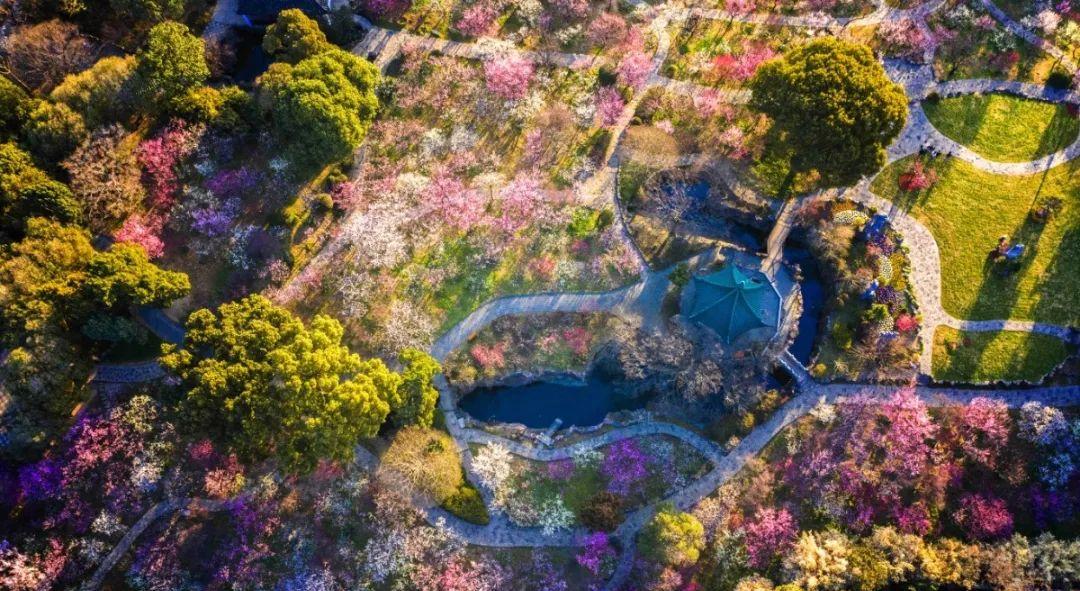 上海到無錫自駕游_上海到無錫自駕游_上海到無錫自駕游