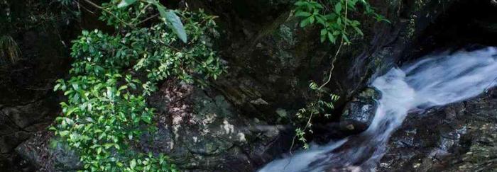 浙江開車自駕游_浙江三門自駕游_自駕游浙江