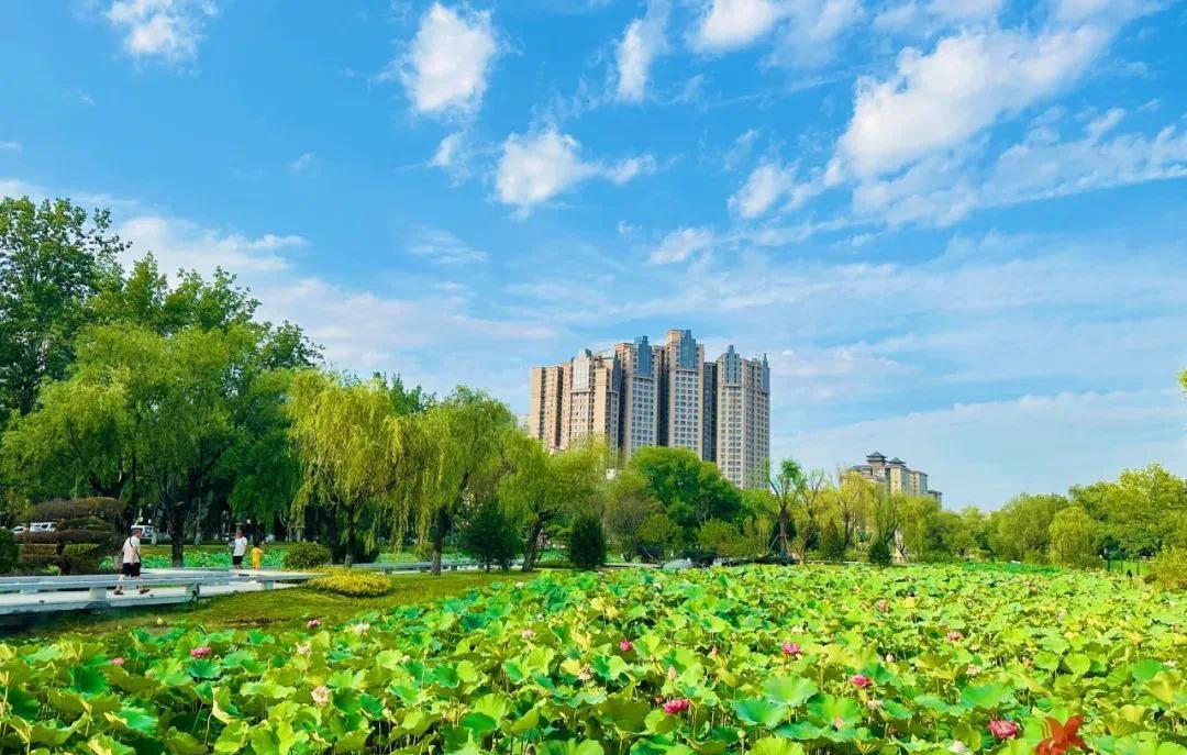 五一假期淇縣文旅市場(chǎng):文化味濃、煙火氣足、創(chuàng)意感新、服務(wù)度優(yōu)