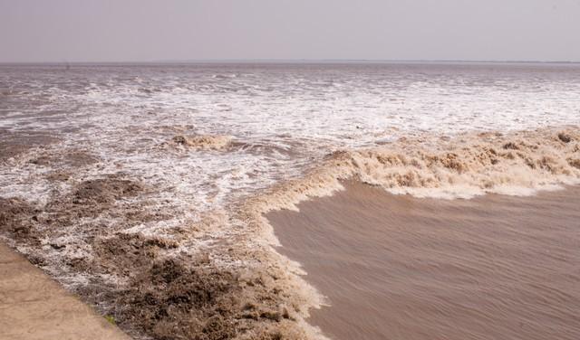 錢塘江大潮觀賞地點大揭秘，這些地方不容錯過