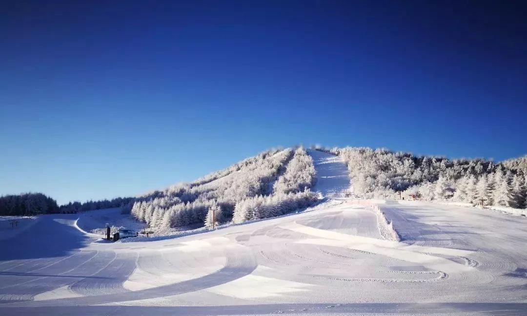 宜昌自駕神農架攻略_宜昌出發(fā)神農架自駕游攻略_宜昌到神農架自駕游