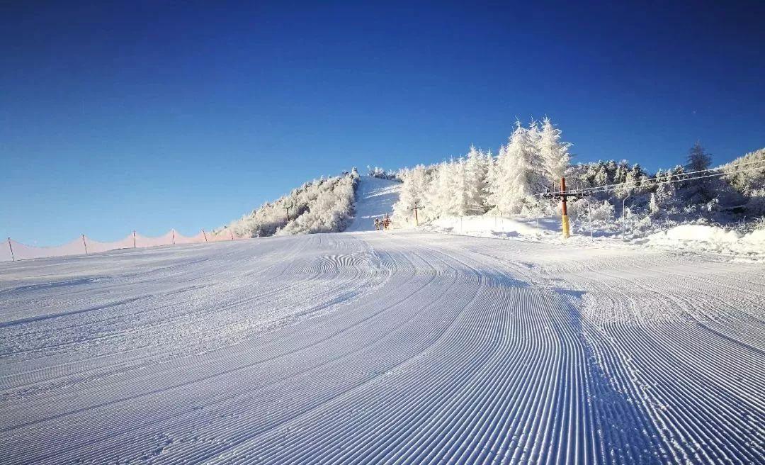 宜昌到神農架自駕游_宜昌自駕神農架攻略_宜昌出發(fā)神農架自駕游攻略