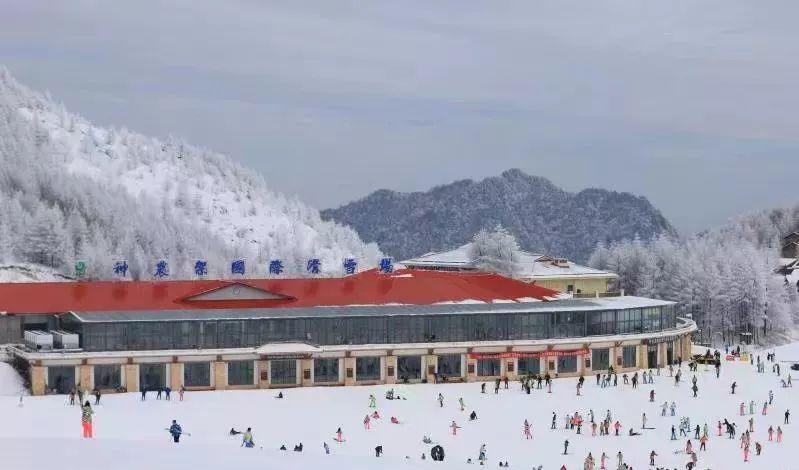 宜昌出發(fā)神農架自駕游攻略_宜昌到神農架自駕游_宜昌自駕神農架攻略