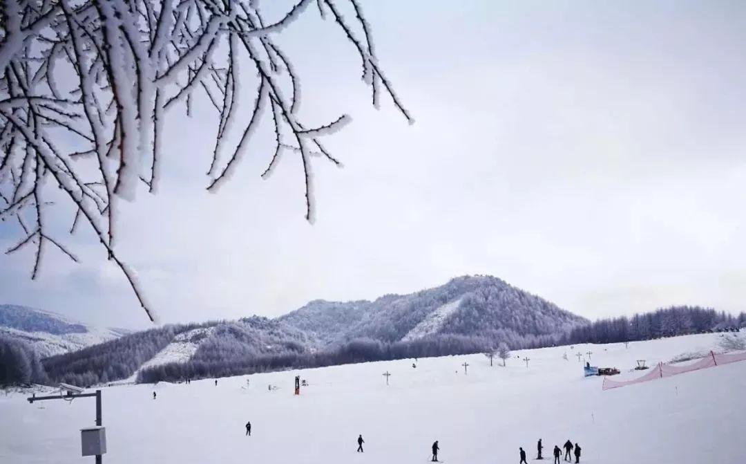 宜昌到神農架自駕游_宜昌自駕神農架攻略_宜昌出發(fā)神農架自駕游攻略