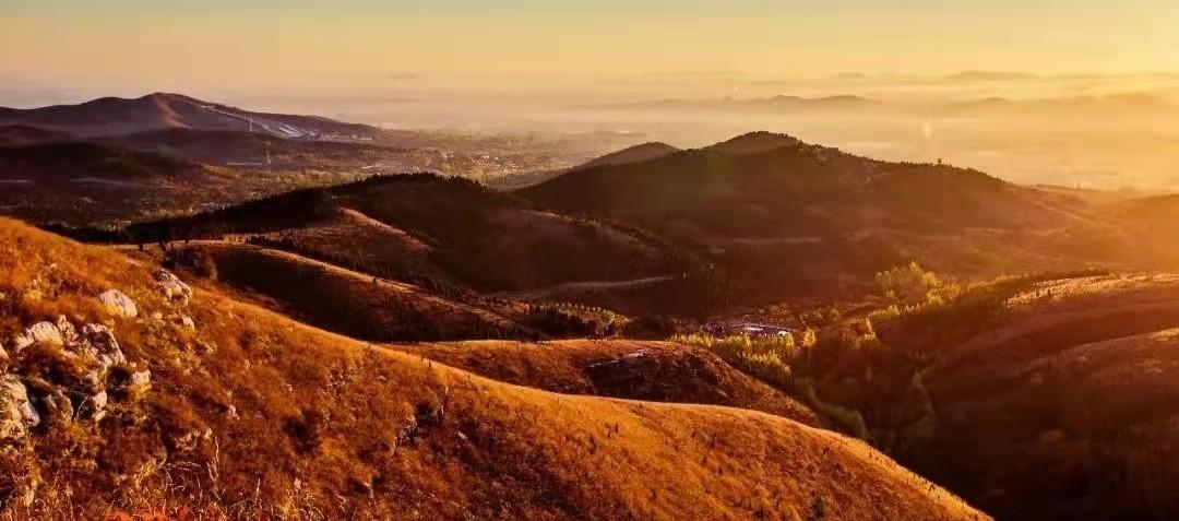 青州兩日旅游攻略,兩天時間讓你享受花樣青州