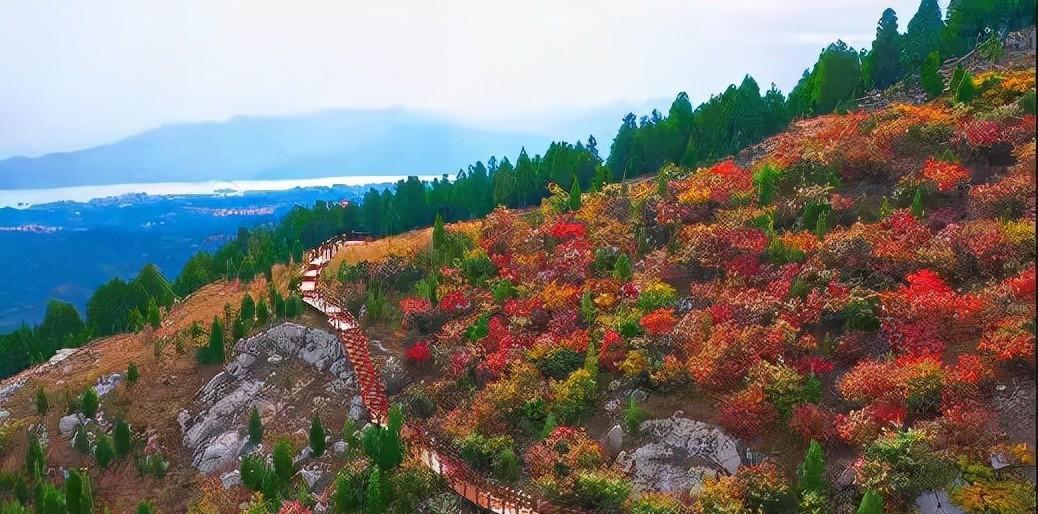 青州兩日旅游攻略,兩天時間讓你享受花樣青州
