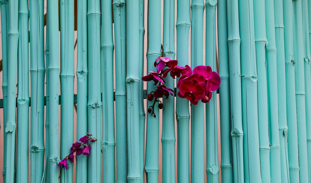 青州兩日旅游攻略,兩天時間讓你享受花樣青州