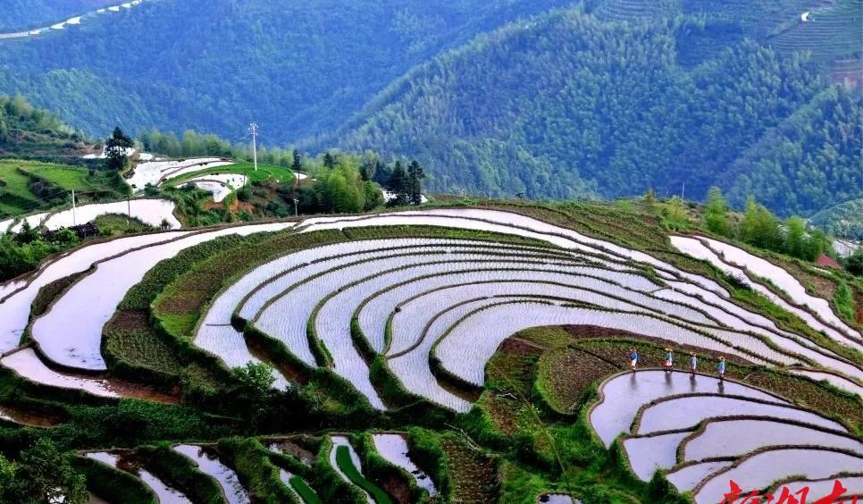 溆浦縣旅游_溆浦縣旅游景區(qū)_溆浦旅游