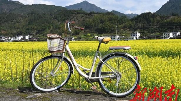 溆浦縣旅游景區(qū)_溆浦縣旅游_溆浦旅游