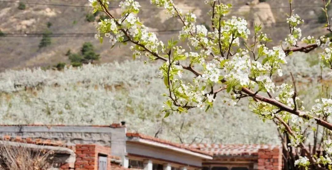 義縣大石湖冰瀑_義縣大石湖風(fēng)景旅游區(qū)_大石湖風(fēng)景區(qū)電話
