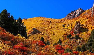 西安到甘南自駕游路線，探索神秘的拉卜楞寺與桑科大草原