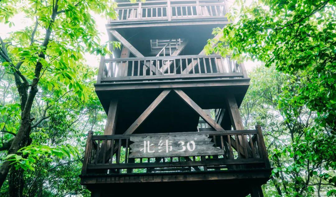 恩施自駕游攻略_恩施自駕游線路_自駕恩施旅游攻略