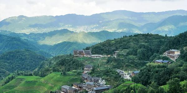 龍脊梯田景區圖片