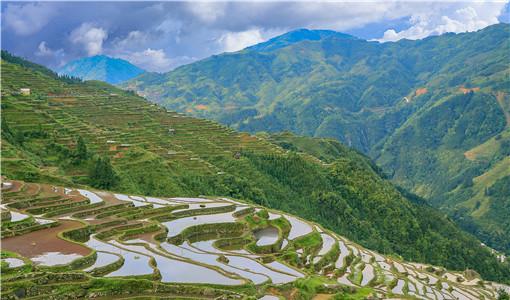 鄉(xiāng)村旅游