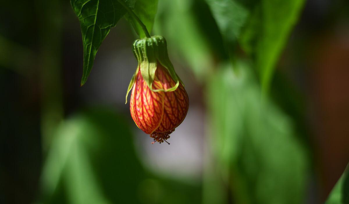 北京暑假旅游_維泰度假旅游_旅游假